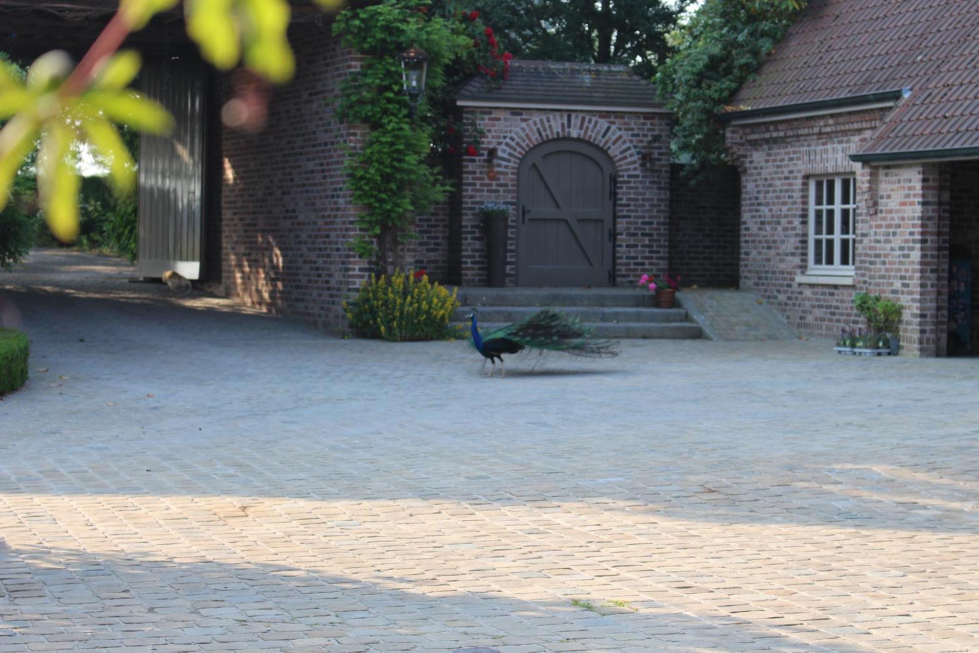 Imagine B&B Wortegem Exteriör bild